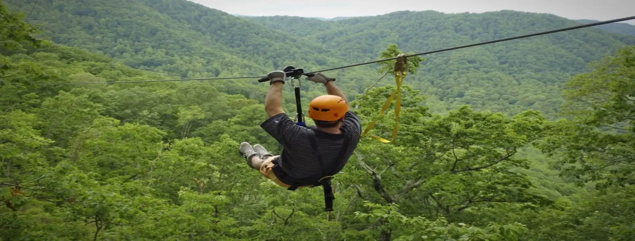 Image for Zipline Soar